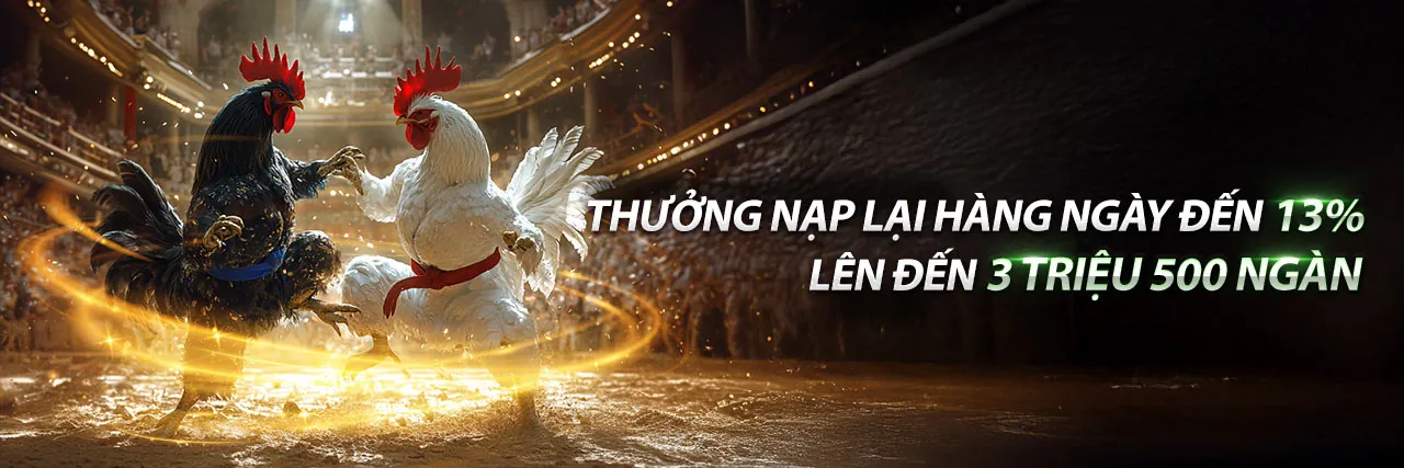 Đấu gà kịch tính tại Kubet 11