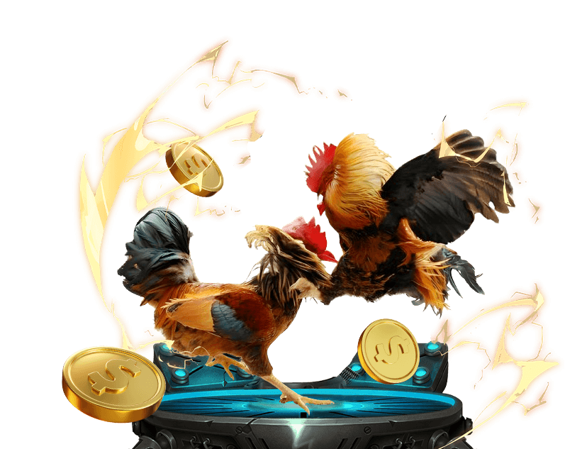 Kinh nghiệm chơi xổ số và đá gà trực tiếp Kubet 11