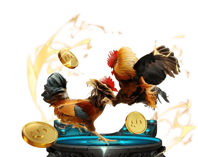 Kinh nghiệm chơi xổ số và đá gà trực tiếp Kubet 11